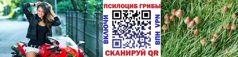 Псилоцибиновые грибы Magic Shrooms  Купить где  Салават 