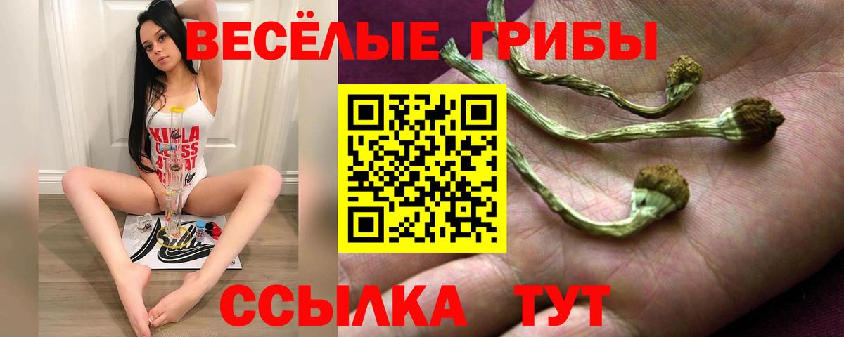 Галлюциногенные грибы Cubensis  Галлюциногенные грибы прущие грибы  где купить   Вход с VPN  Салават 